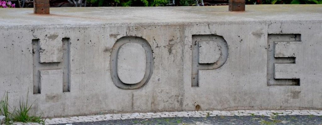 photo-1665145532965-d6a88d721bc7